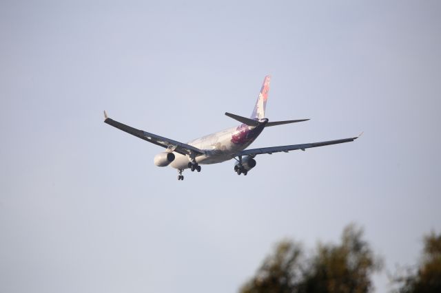 Airbus A330-200 (N393HA)