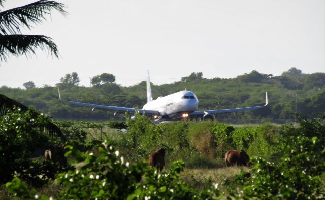 Airbus A321 (N929JB)