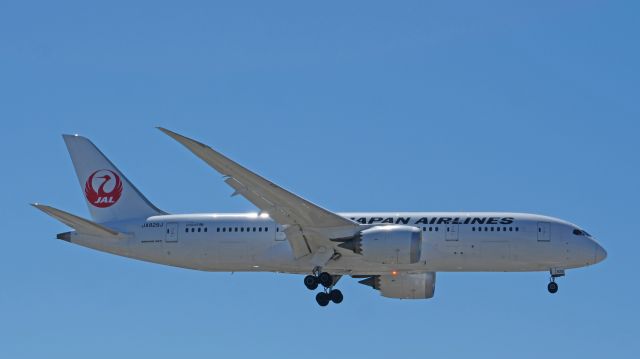 Boeing 787-8 (JA829J)