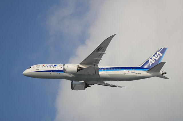 Boeing 787-8 (JA809A) - December 22nd 2019:HKD-HND.