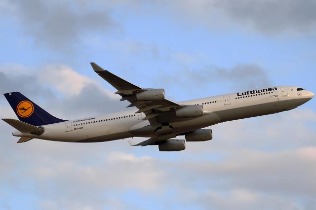 Airbus A340-300 (D-AIGI)