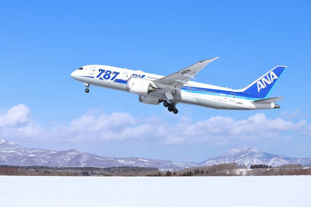 Boeing 787-8 (JA821A) - 2018.1.31 hakodateairport hokkaido japan