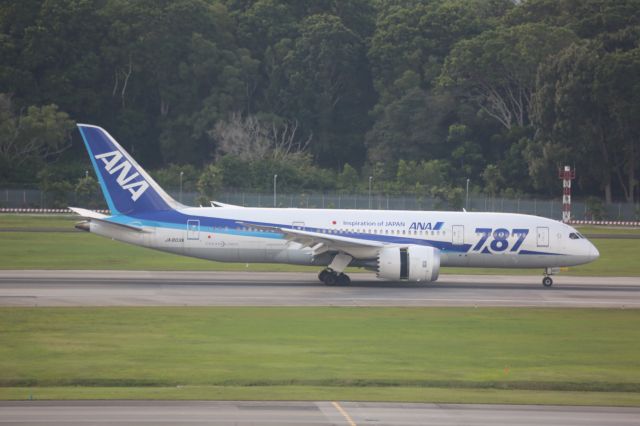 Boeing 787-8 (JA803A)