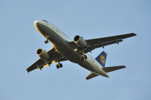 Airbus A319 (D-AILP) - Lufthansa Airbus A319-114 D-AILP landing in Frankfurt 