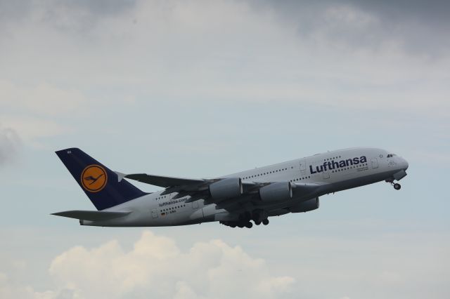 Airbus A380-800 (D-AIMA)