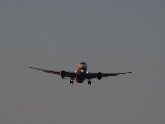 Boeing 787-8 — - Observing straught planes