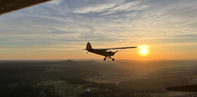 Piper NE Cub (N7121H)