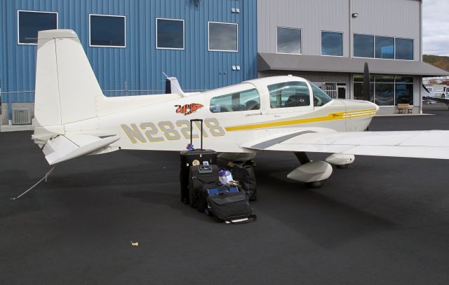 Grumman AA-5 Tiger (N28218) - The best Tiger in the Northeast. A great travelling aircraft.