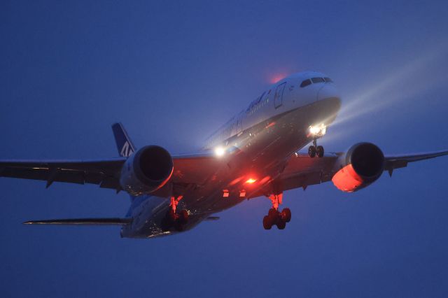 Boeing 787-8 (JA808A) - May 19, 2023:HND-HKD.