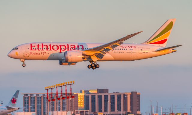 Boeing 787-8 (ET-AOR) - The morning sun casts its golden light on ETH502 arriving in Toronto from Bole via Dublin...