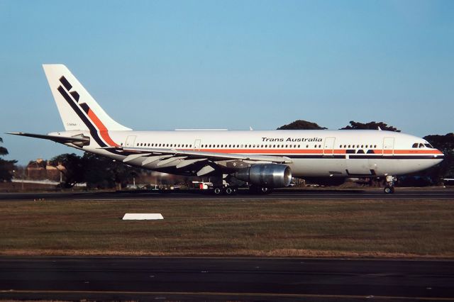 VH-TAD — - TRANS AUSTRALIA AIRLINES - AIRBUS A300B-203 - REG : VH-TAD (CN 196) - KINGSFORD SMITH SYDNEY NSW. AUSTRALIA - YSSY 28/6/1988 35MM SLIDE CONVERSION USING A LIGHTBOX AND A NIKON L810 DIGITAL CAMERA IN THE MACRO MODE.
