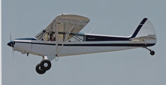 Piper L-21 Super Cub (N9954Q) - L21