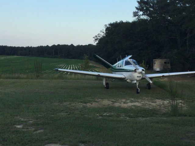 Beechcraft 35 Bonanza (N320B)