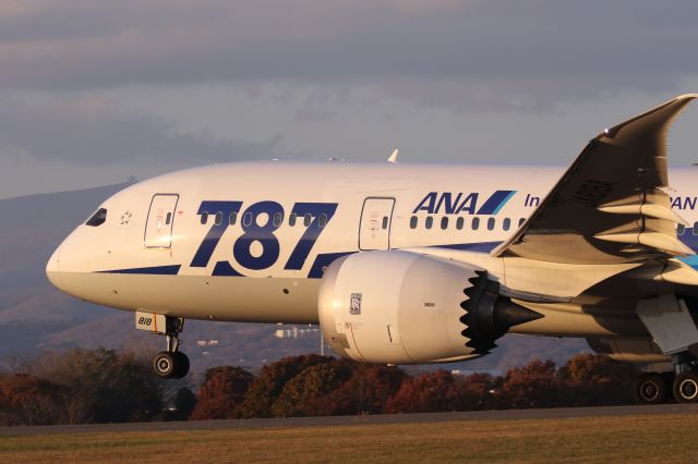 Boeing 787-8 (JA818A) - 01 November 2015: HKD-HND.