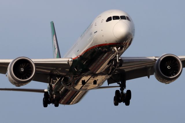 BOEING 787-10 Dreamliner (B-17802)