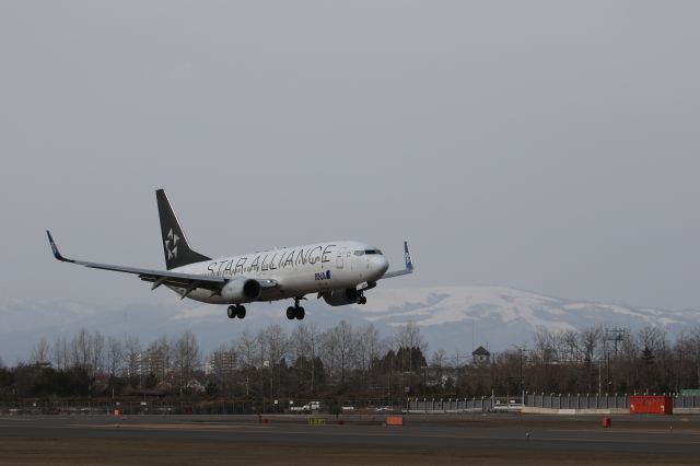 Boeing 737-800 (JA51AN) - 2015 02 26:br /HND-HKD.