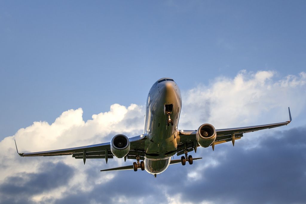 Boeing 737-800 (JA341J)