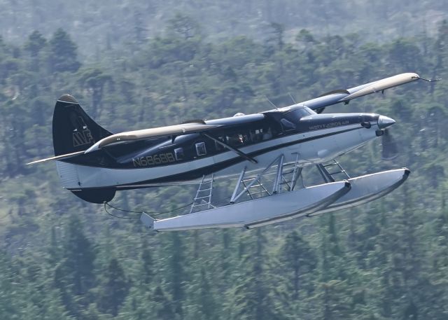 De Havilland Canada DHC-3 Otter (N6868B)