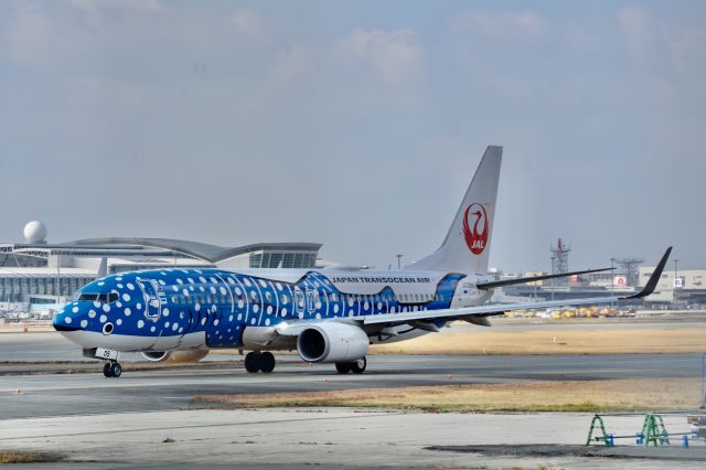 Boeing 737-800 — - Lineup.