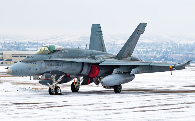 McDonnell Douglas FA-18 Hornet (18-8035)