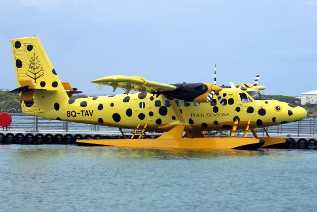 De Havilland Canada Twin Otter (8Q-TAV) - Seen here on 3-Jan-24.