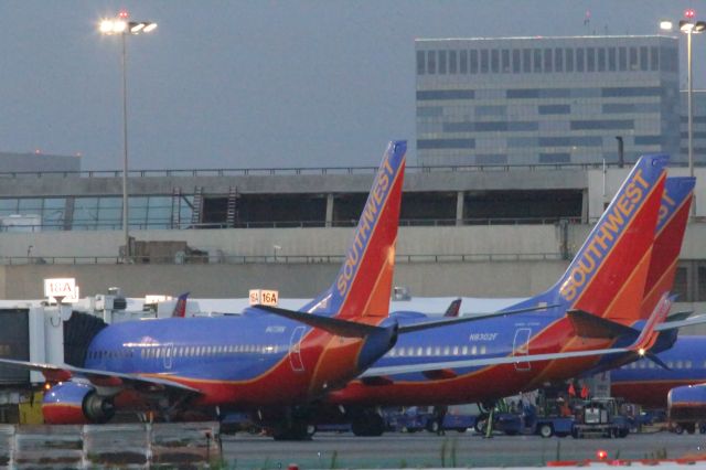 Boeing 737-800 (N8302F)