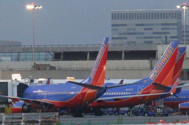 Boeing 737-800 (N8302F)