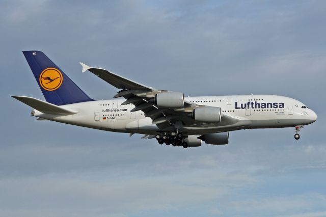 Airbus A380-800 (D-AIME)