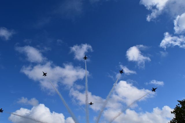 McDonnell Douglas FA-18 Hornet — - The Blues perform The Delta Breakaway on their way to the Ft Lauderdale Airshow Flying over EPCOT 2MAY19