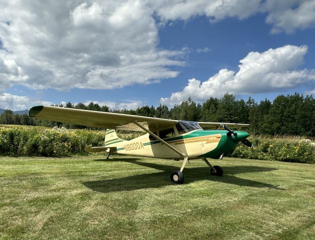 Cessna 170 (N8000A)