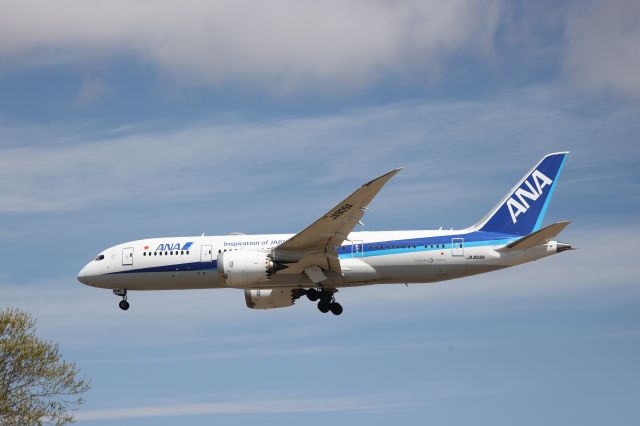 Boeing 787-8 (JA809A) - April 20, 2024:HND-HKD.