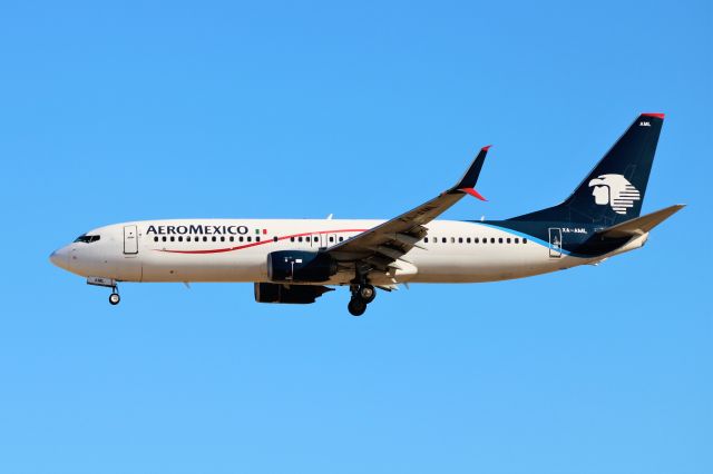 Boeing 737-800 (XA-AML)