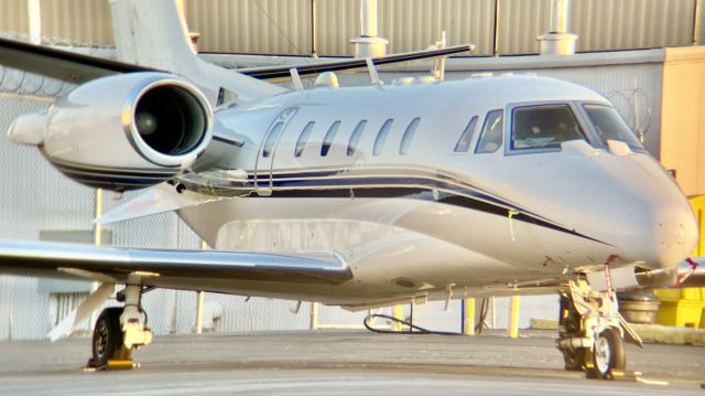 Cessna Citation Excel/XLS (N846JS) - A flyExclusive C56X parked at Sig Flight Support during a gorgeous October sunset. br /br /This aircraft is a 2003 Cessna 560XL Citation Excel, SN 560-5355, owned/operated by flyExclusive. 10/10/22. 