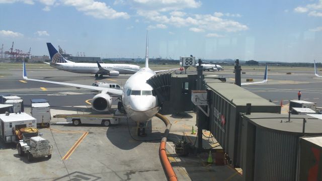 Boeing 737-800 — - United/Continental Airlines 737-800 at gate 88 at Newark. Getting ready for a departure to Vegas. :)