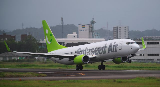 Boeing 737-800 (JA813X)