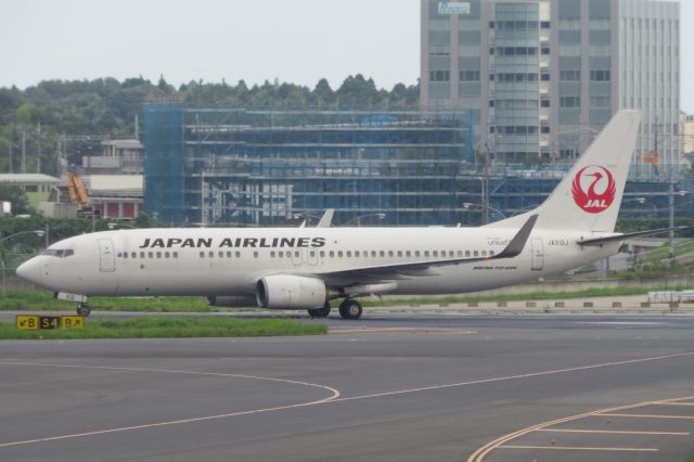 Boeing 737-800 (JA312J)