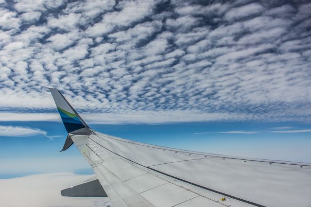 Boeing 737-900 (N494AS)