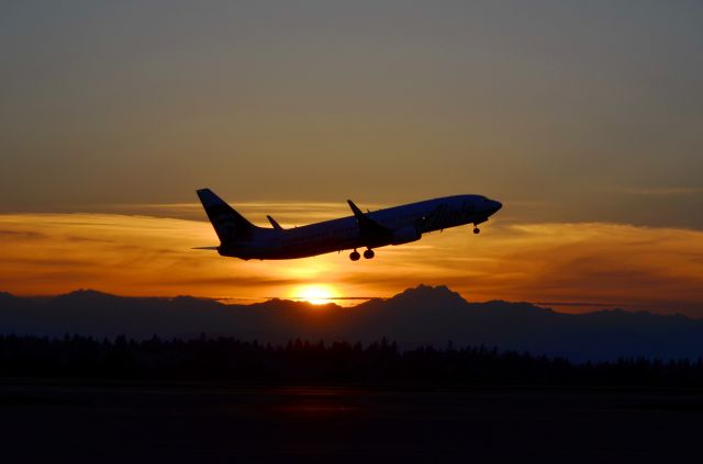 Boeing 737-800 —