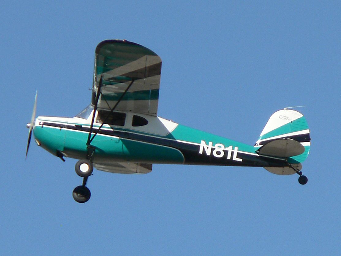 Cessna 140 (N81L) - Nov. 29, 2008. Lovely old Cessna...looks like new!