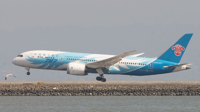 — — - Two beautiful birds about to land - a great white egret and China Southerns B788 from Wuhan (WUH/ZHHH)