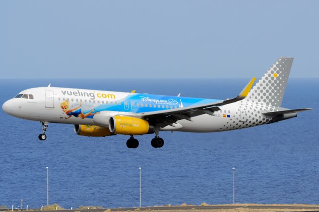 Airbus A320 (CMLE)