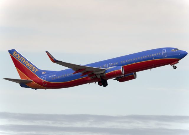 Boeing 737-800 (N8325D)