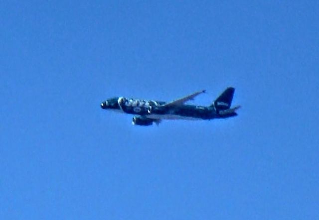 Airbus A320 (N746JB) - On approach to Long Beach. 