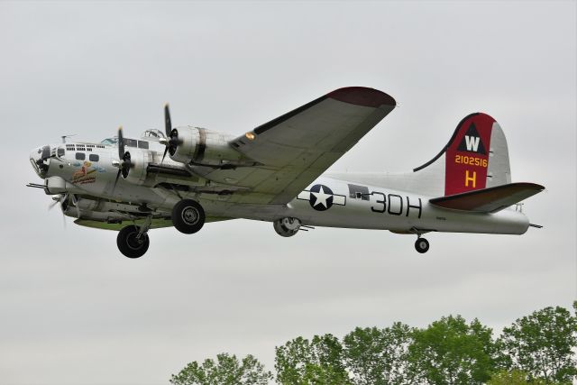 Boeing B-17 Flying Fortress (N5017N)