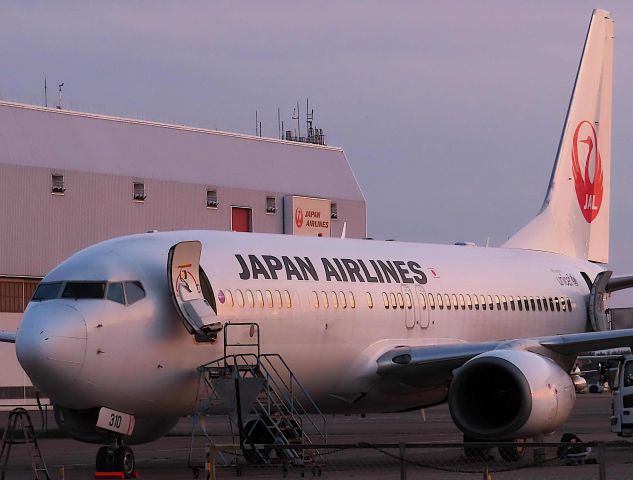 Boeing 737-800 (JA310J) - I took this picture on Apr 16, 2019.br /JL958/16Apr PUS-NRT