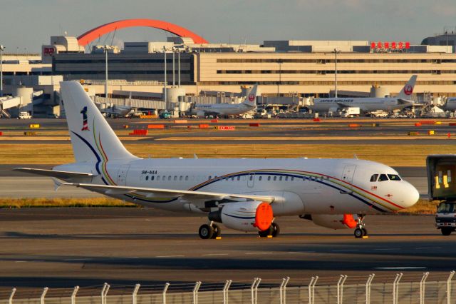 Airbus A319 (9M-NAA) - Malaysia Air Forcebr /(12/12/2013)