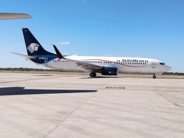 Boeing 737-800 (XA-OCA)