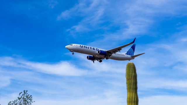 Boeing 737-900 (N78448) - United Airways 737-900 landing at PHX on 8/9/22. Taken with a Canon 850D and Sigma 18-35mm Art lens.