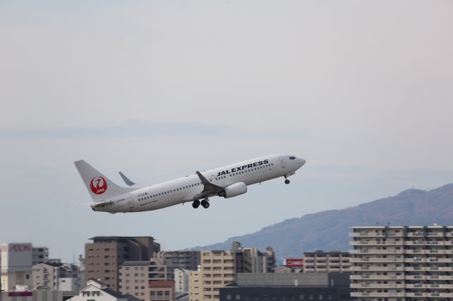 Boeing 737-800 (JA339J)