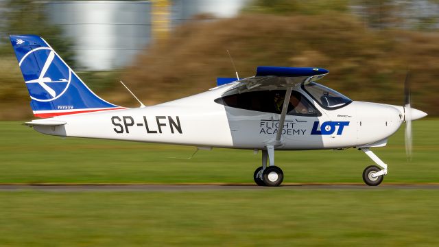 SP-LFN —